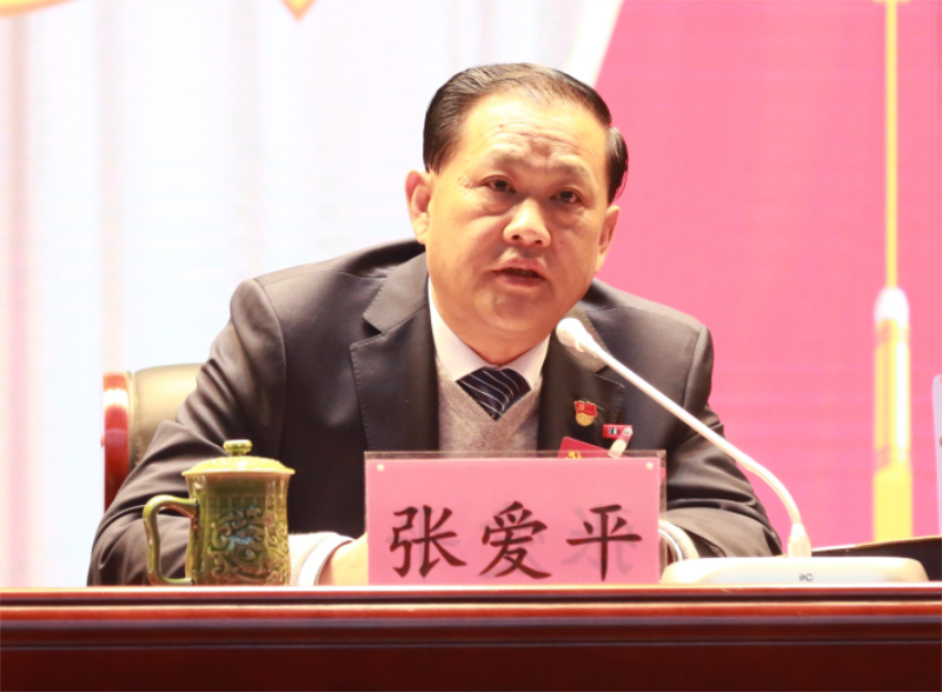 张爱平同志宣读中共AK网第一届党委成员分工及纪委成员分工